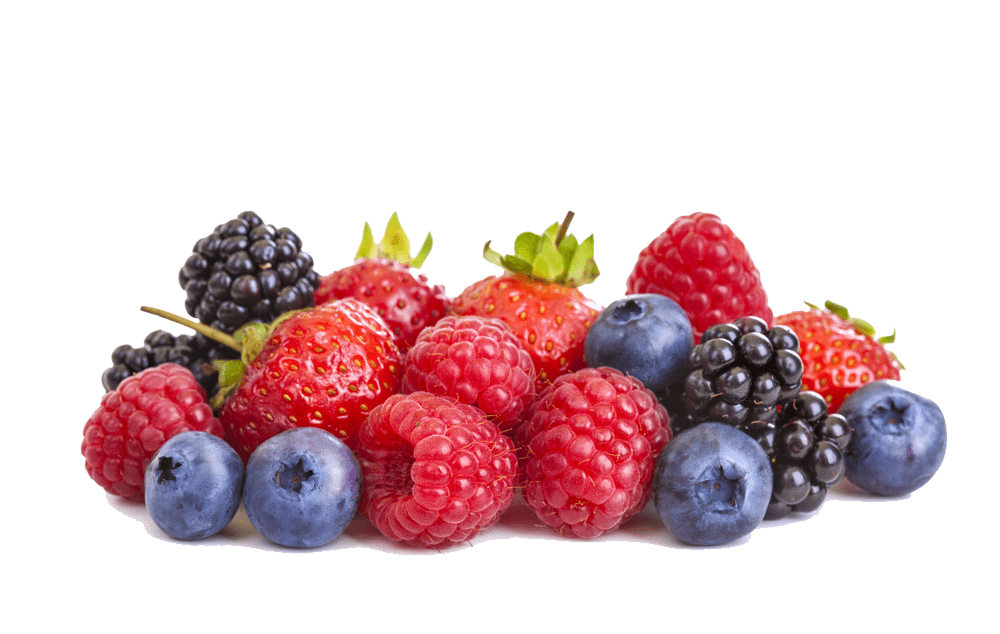 forrest fruits png_product